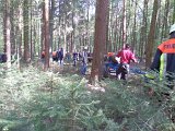 Maibaum_2016 (51).JPG